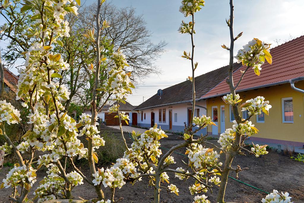 Rigofuetty Vendeghaz Hotel Tiszaalpar Exterior photo