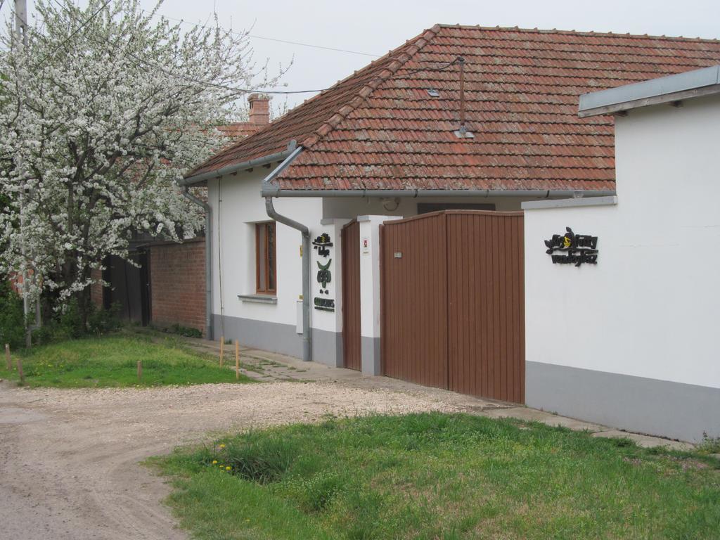 Rigofuetty Vendeghaz Hotel Tiszaalpar Exterior photo