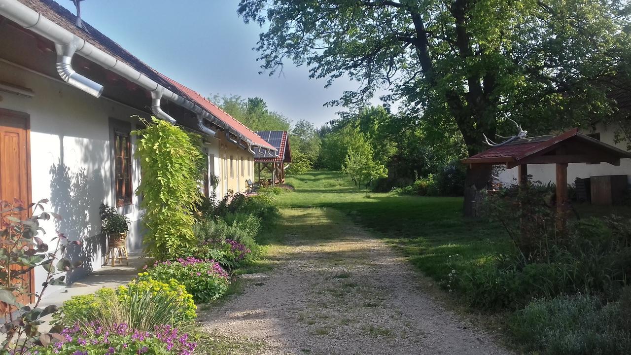Rigofuetty Vendeghaz Hotel Tiszaalpar Exterior photo